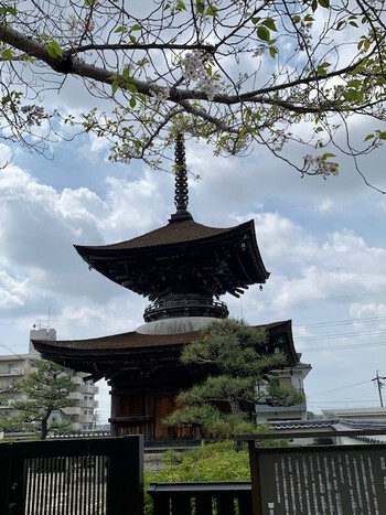 岡崎の大樹寺。 岡崎の大樹寺。
