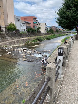 夏休みの奥飛騨、高山旅。 夏休みの奥飛騨、高山旅。