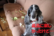 Grace9歳ってどうよぉ~ Grace9歳ってどうよぉ~