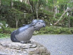修善寺へ