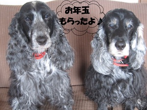 お年玉はうまい!