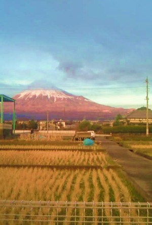 いかがお過ごしでしょうか?