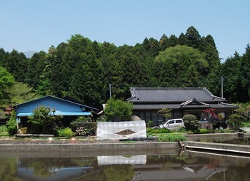 初夏の陣馬の滝