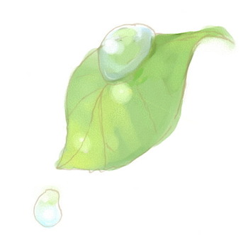久しぶりの癒しの動画とイラスト