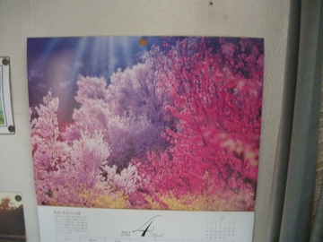 今日から4月ですね