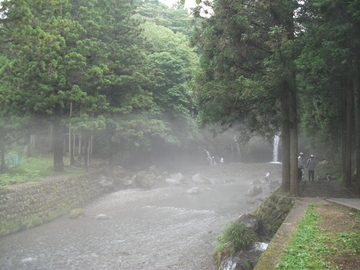 久しぶりに、早朝に‥