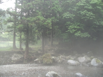久しぶりに、早朝に‥