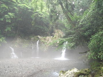 久しぶりに、早朝に‥