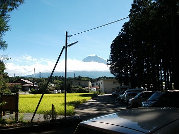 久しぶりに行って来ました