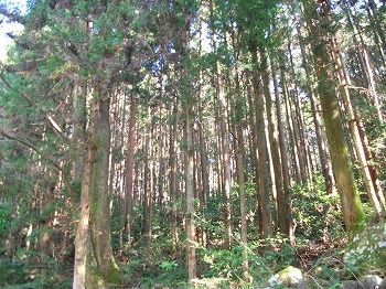 すっかり秋らしくなってきましたよ