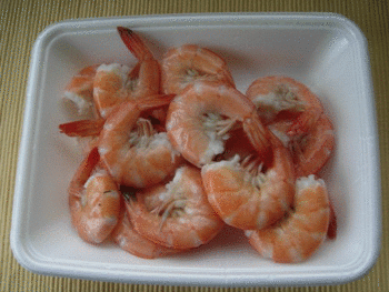 しずうらブログ村