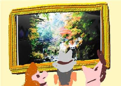 写真展を見てきました☆