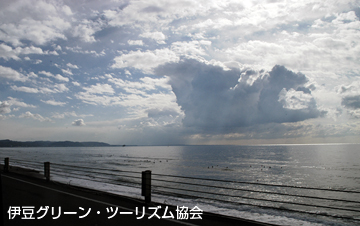 湘南の光