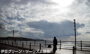 湘南の光