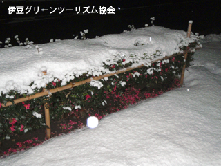 雪の金沢で講師