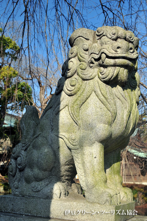阿吽、三嶋大社の狛犬