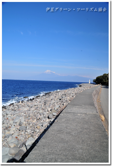 絶景の海散歩道を歩く