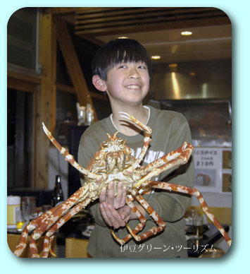 これなんら?タカアシガニ初体験