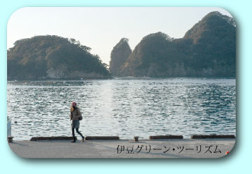 田子の海