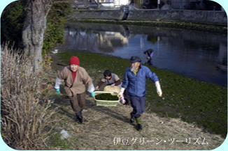 水を吸って重い川海苔