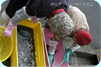 掃除です