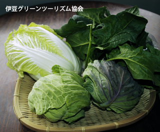 新鮮野菜、三日月さんから
