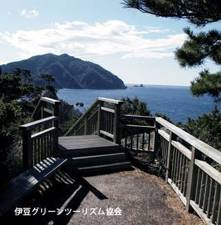 富士見の丘から安良里今山