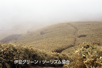 霧煙る稜線