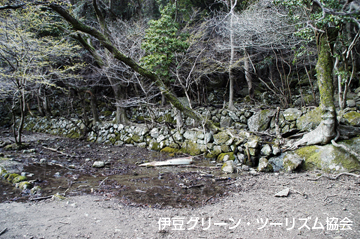 発見!ワサビ田跡