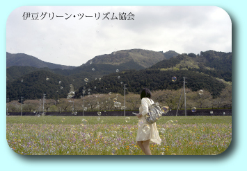 シャボン玉飛んだ~お花畑に飛んだ~