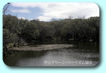静かな湖畔の風景