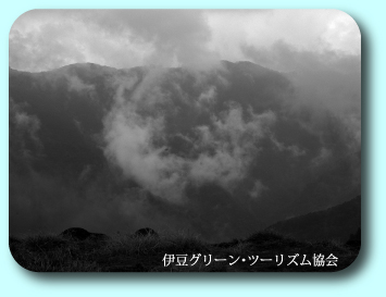ガス巻く猫越(ねっこ)岳