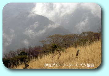 新緑待つ草原で