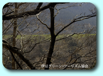 GW遊び場情報。新緑の高原の牧場