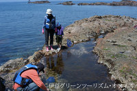 潮溜まりで自然観察