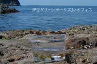 ミニ水族館