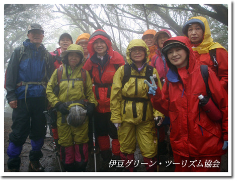 雨の天城山ガイド