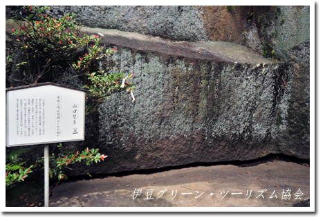 山口誓子