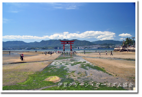 厳島神社の大潮干潮