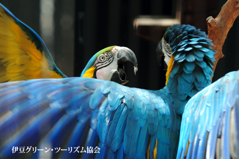ケンカするほど...