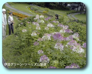 体験学習17【とびっきりのお花畑】