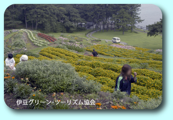 体験学習17【とびっきりのお花畑】