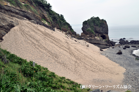 サンドスキーしてみる?