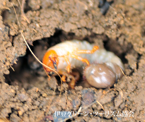まだ..もう少し
