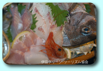 念願の宇久須「大和丸」に泊まり!
