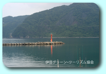 念願の宇久須「大和丸」に泊まり!
