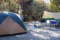 朝の柔らかい光の中