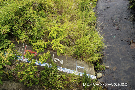 役立つ日が怖い?