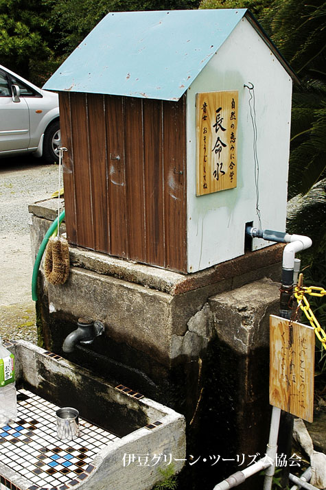 飲めば長生き。西伊豆の水?