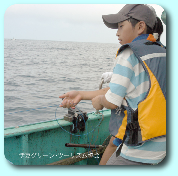 シイラがバカ釣れ!漁師体験